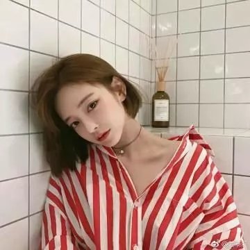 给我庇护